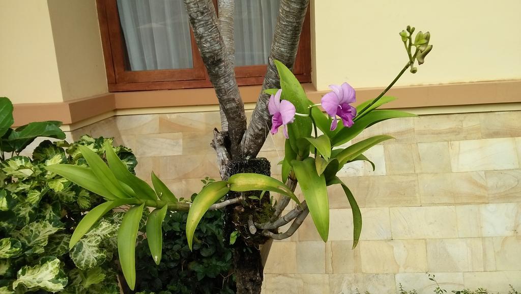 Roemah Canting Homestay Γιογκιακάρτα Εξωτερικό φωτογραφία