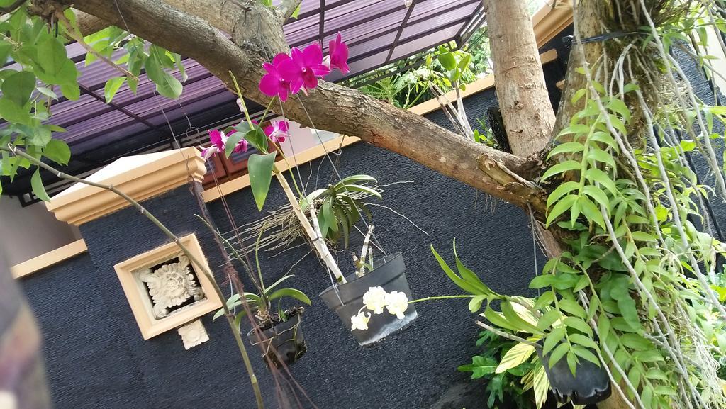 Roemah Canting Homestay Γιογκιακάρτα Εξωτερικό φωτογραφία